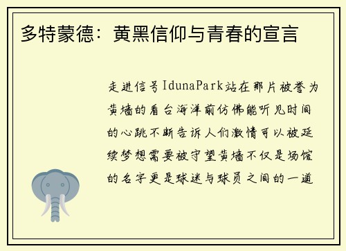 多特蒙德：黄黑信仰与青春的宣言
